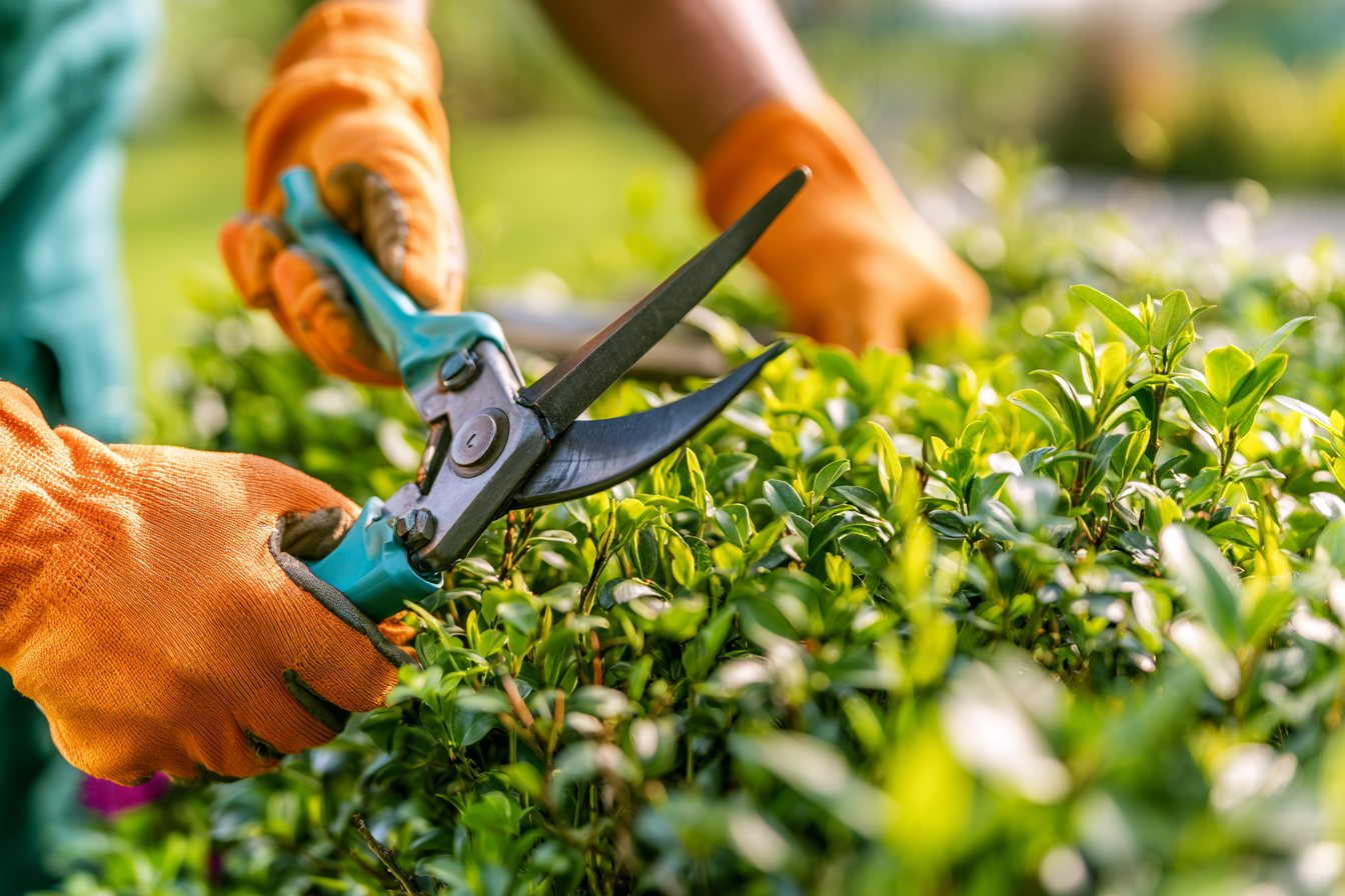 Online marketing voor lokale dienstverleners: vakman aan het werk in zijn eigen werkgebied